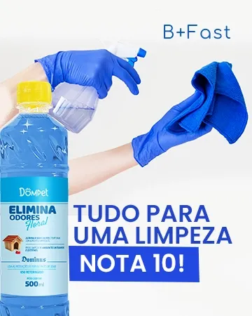 Tudo para uma limpeza nota 10