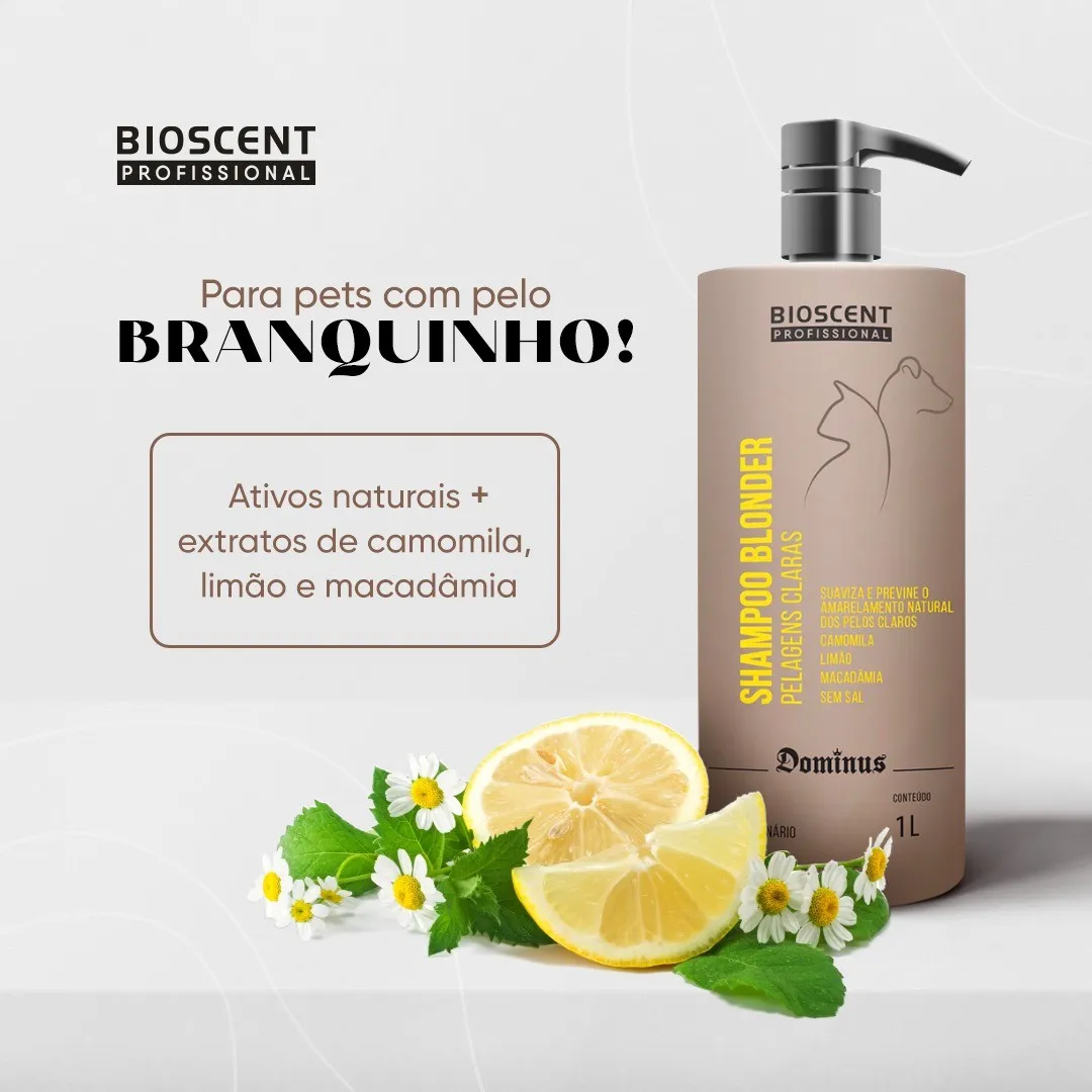 SHAMPOO BLONDER - 5LT
