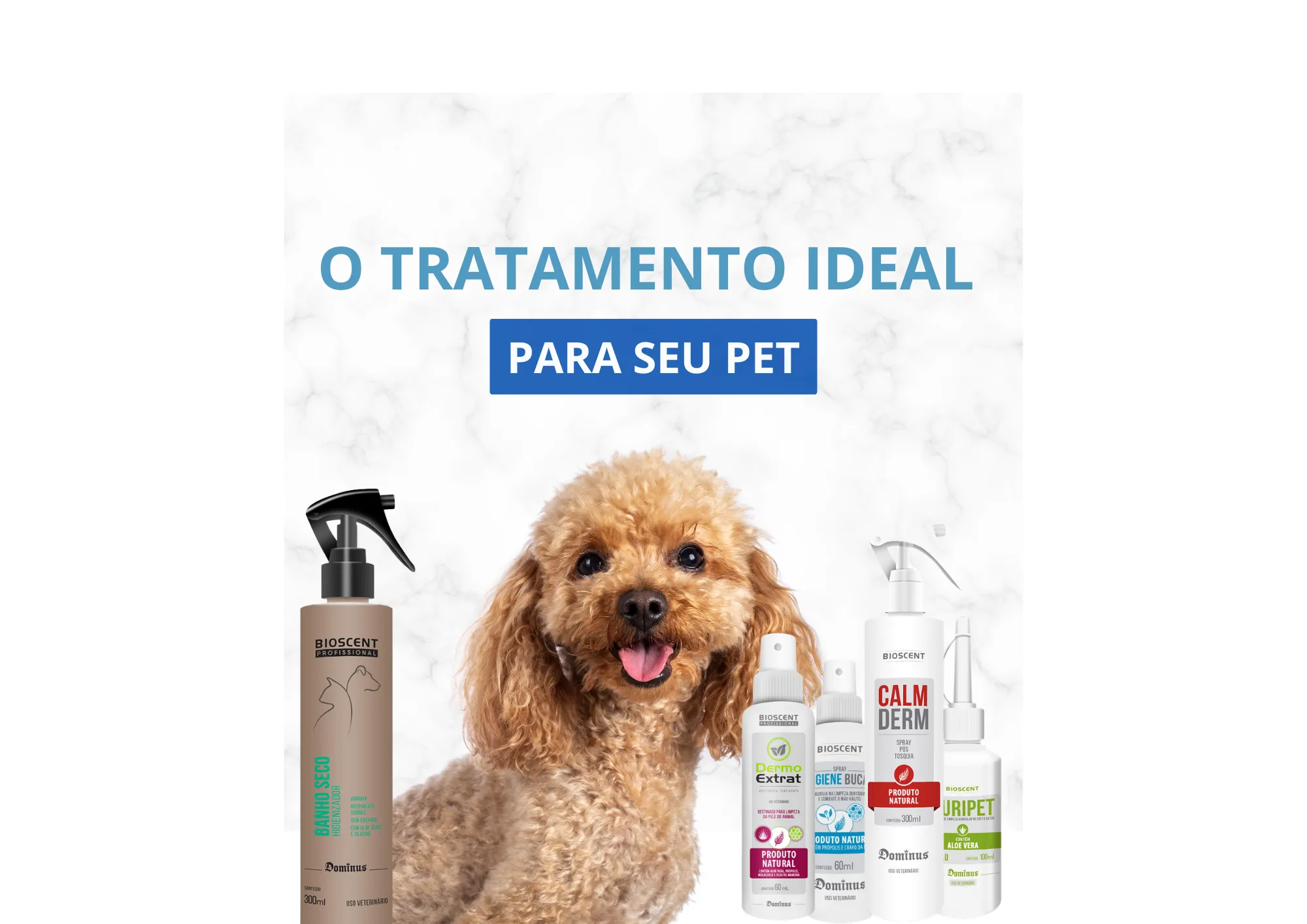 TRATAMENTO PET