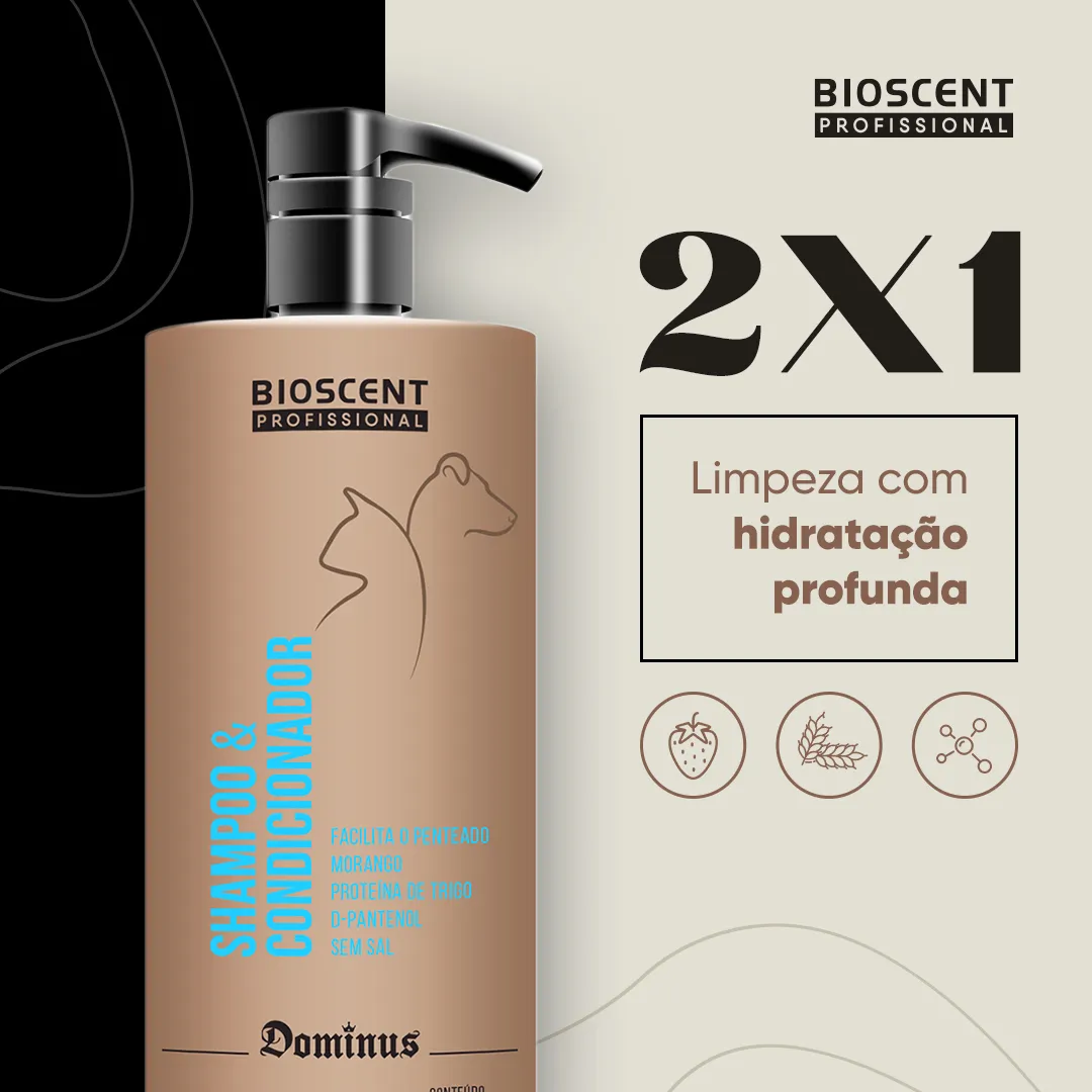SHAMPOO E CONDICIONADOR - 2X1