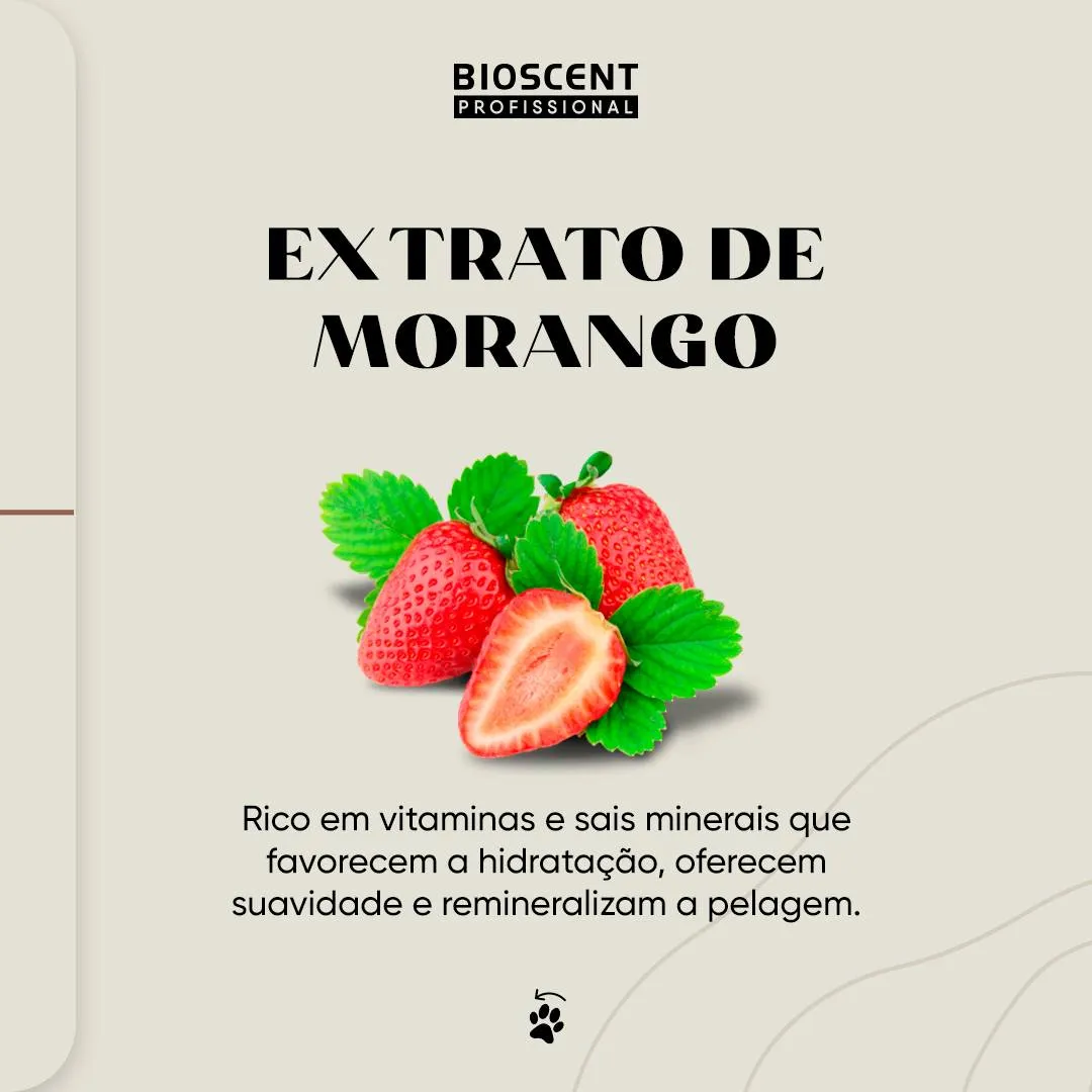 SHAMPOO E CONDICIONADOR - 2X1