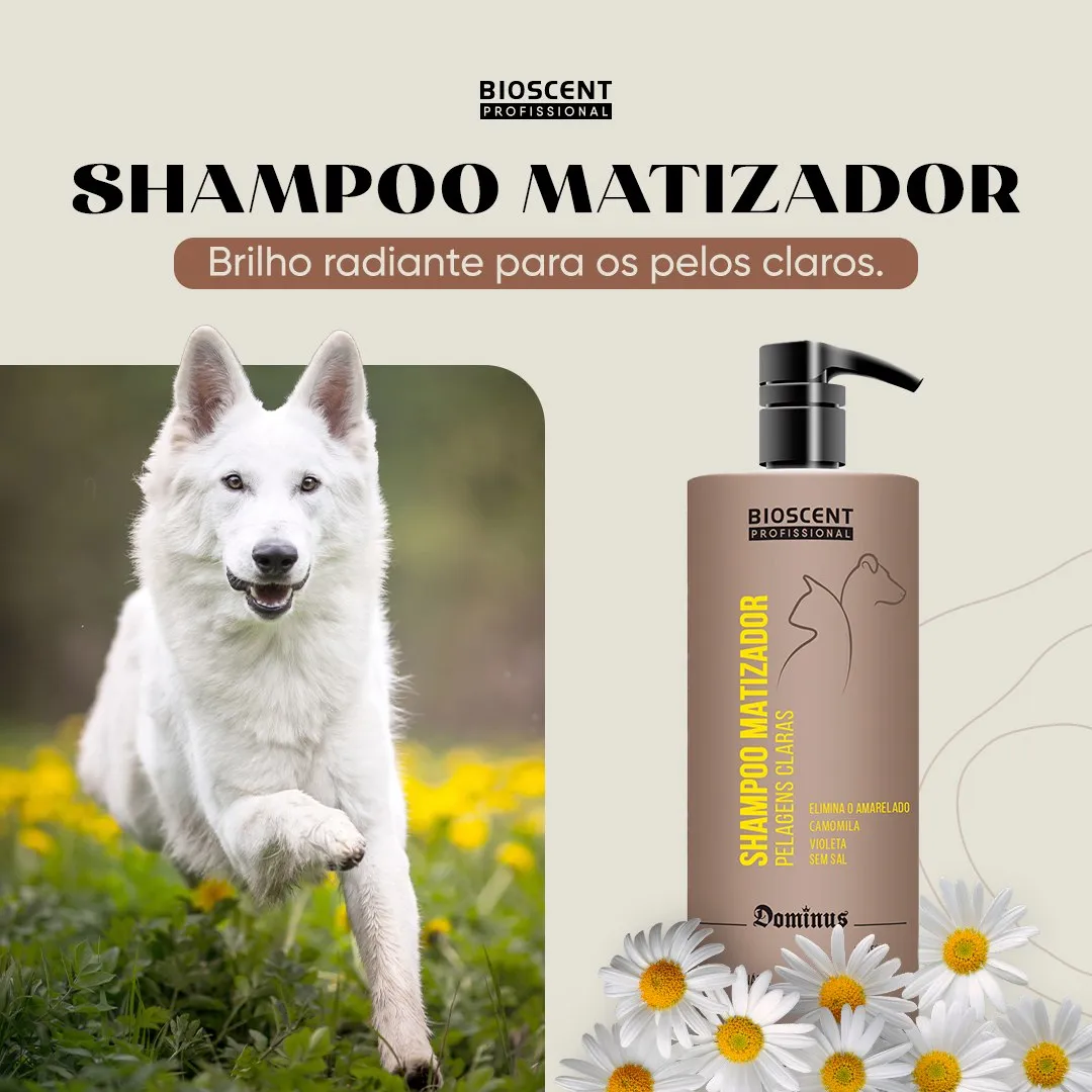 SHAMPOO MATIZADOR